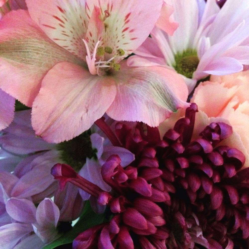 Meet your Posher, Kelly